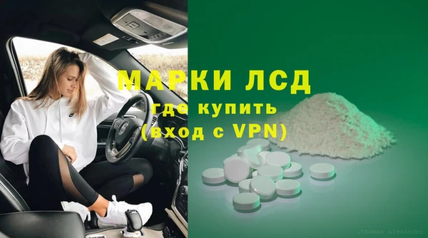 хмурый Бердск